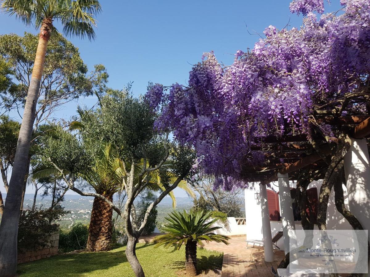 Monte-Bougainvillea Azinheiro Zewnętrze zdjęcie